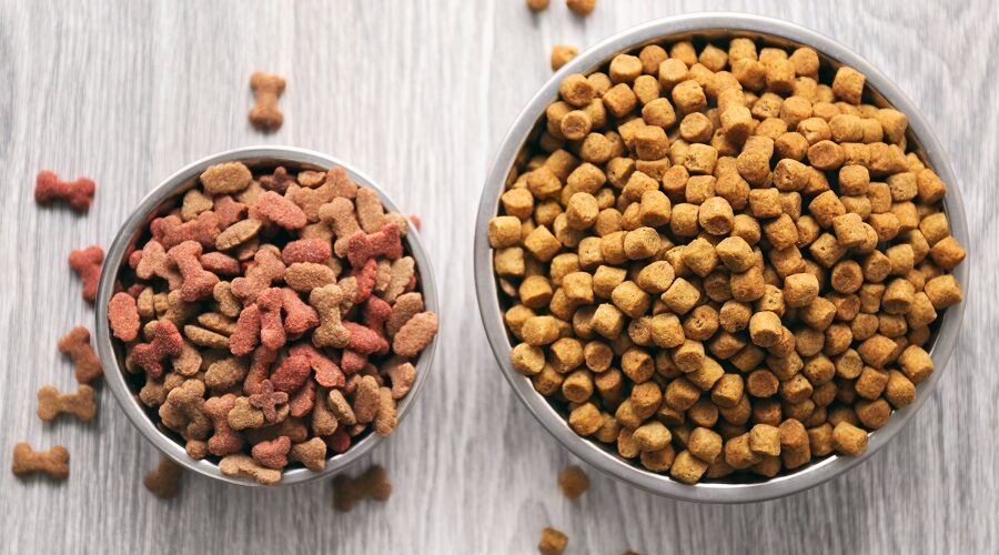 Dog Food Reviews – What’s In a Dog Food?